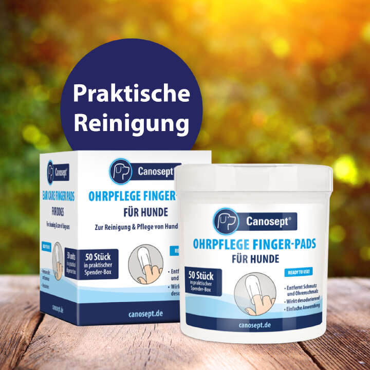 Canosept Ohrpflege Finger-Pads für Hunde